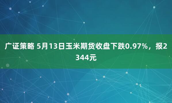 广证策略 5月13日玉米期货收盘下跌0.97%，报2344元