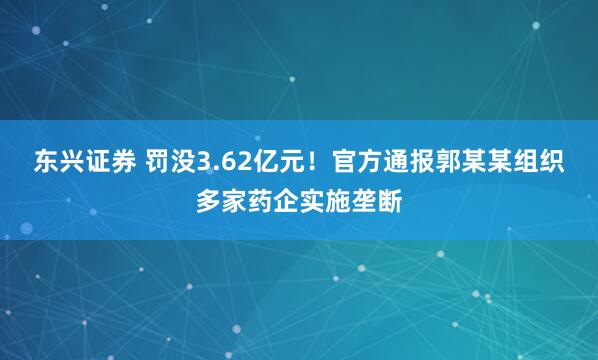 东兴证券 罚没3.62亿元！官方通报郭某某组织多家药企实施垄断