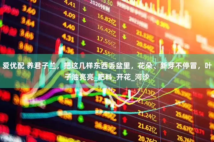 爱优配 养君子兰，把这几样东西丢盆里，花朵、新芽不停冒，叶子油亮亮_肥料_开花_河沙