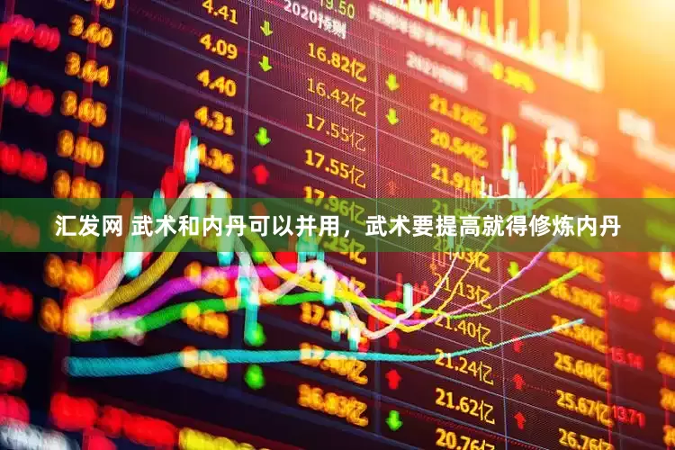 汇发网 武术和内丹可以并用，武术要提高就得修炼内丹